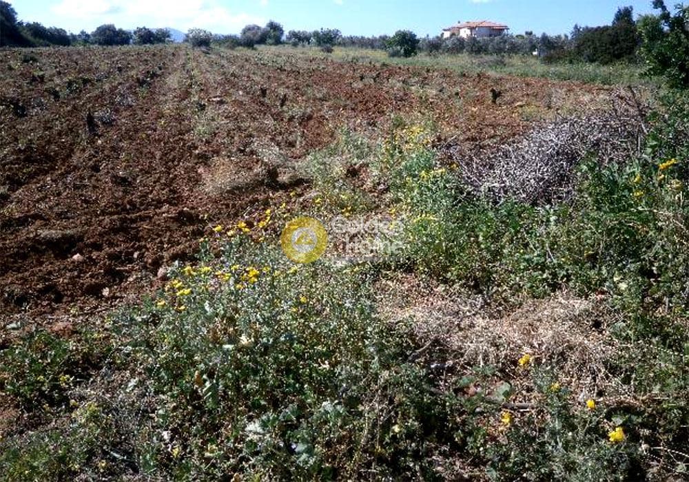 Parcel in Neapoli, Spata — Photo 1 of 2