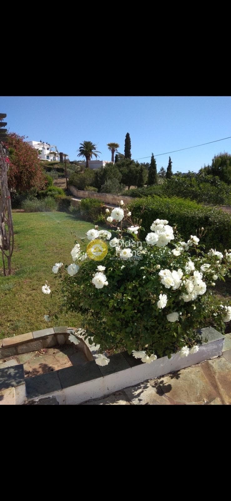 House in Kosta, Spetses — Photo 31 of 37