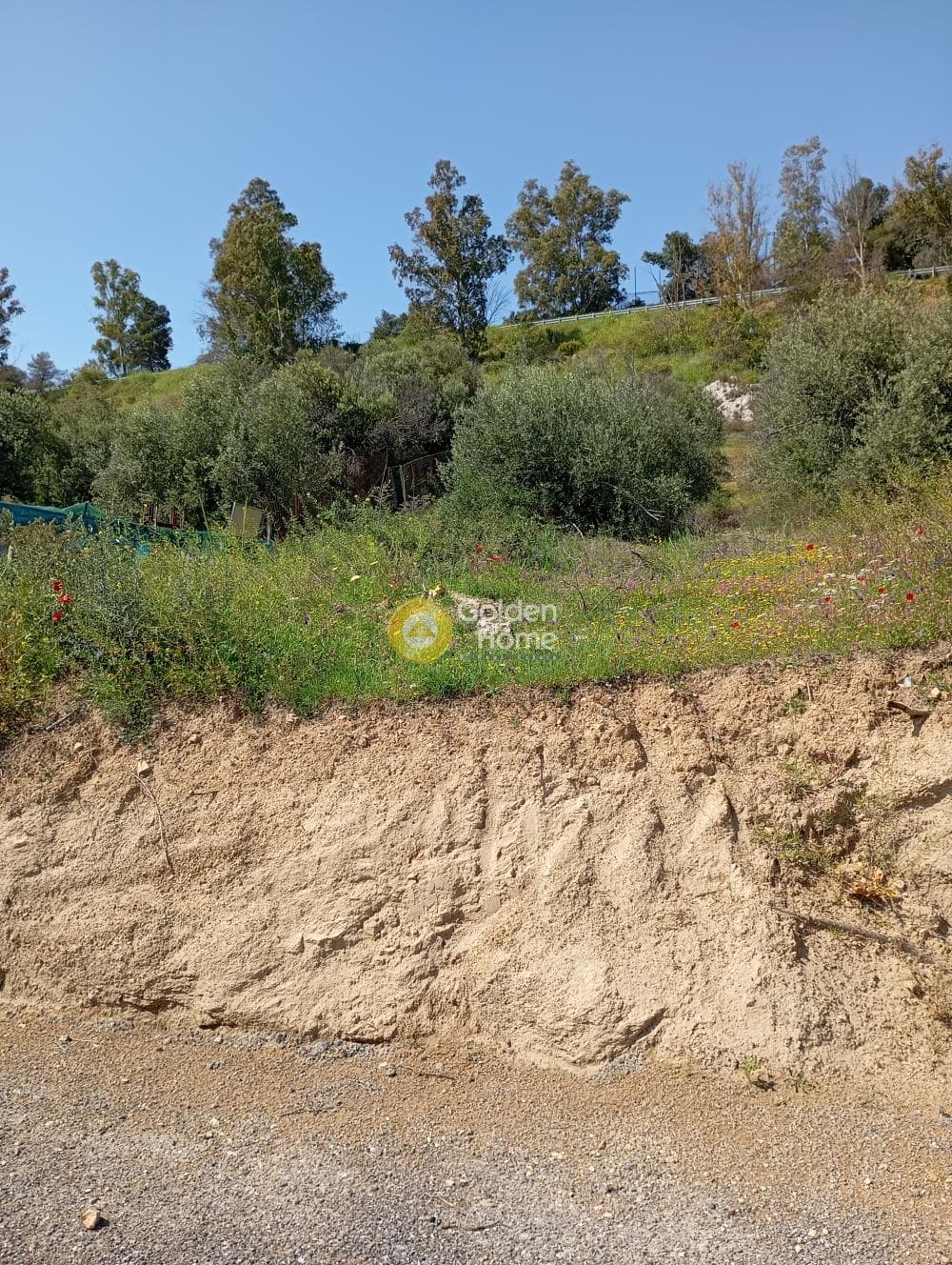 Building Plot in Zofria, Zefiri — Photo 3 of 6