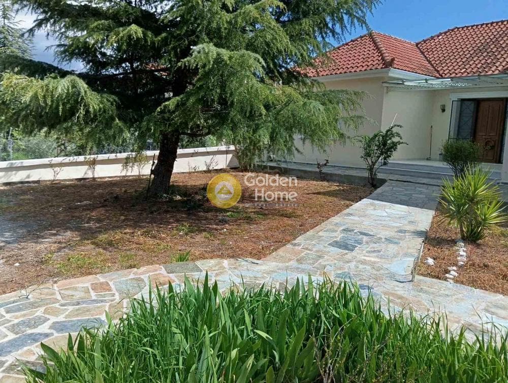 Μονοκατοικία στην Σταθμός Αφιδνών, Αφίδνες — Φωτογραφία 15 από 29
