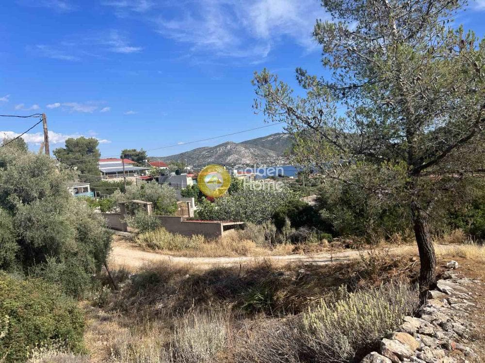 Building Plot in Resti, Salamina — Photo 3 of 8