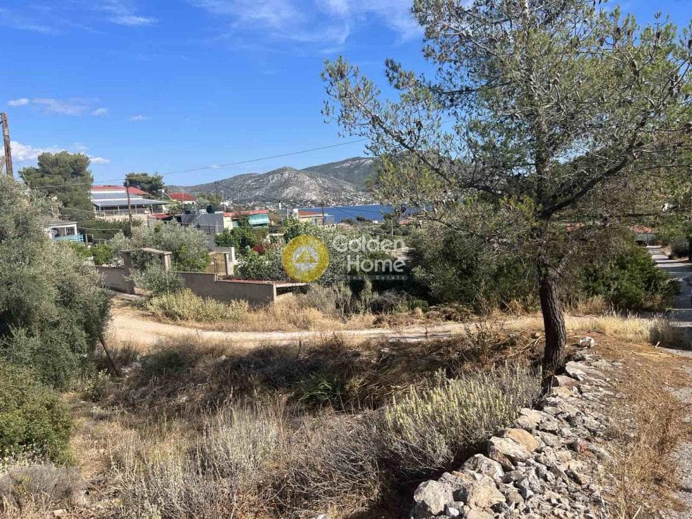 Building Plot in Resti, Salamina — Photo 1 of 8