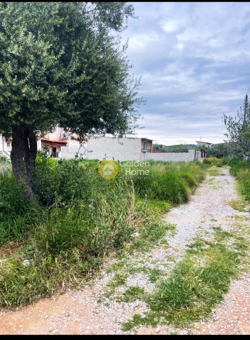 Building Plot in Psili Ammos, Salamina — Photo 8 of 13