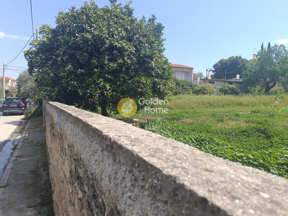 Οικόπεδο στην Αγία Τριάδα, Παιανία — Φωτογραφία 2 από 5