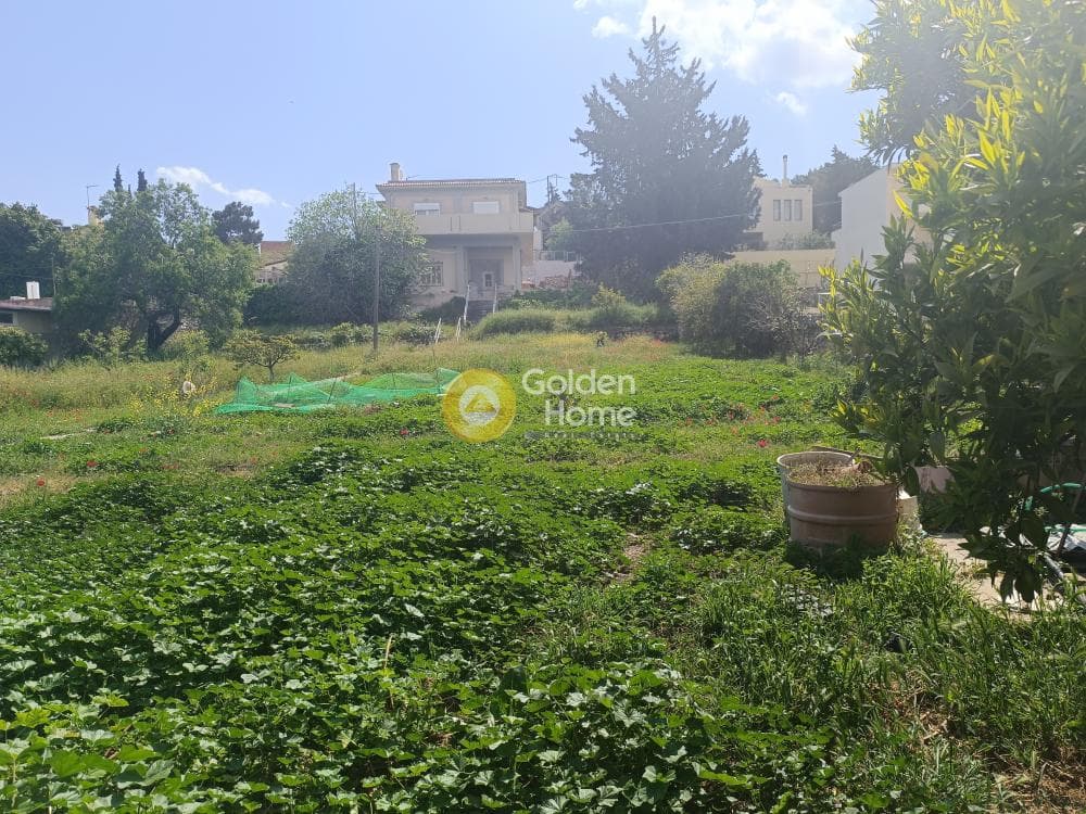 Οικόπεδο στην Αγία Τριάδα, Παιανία — Φωτογραφία 4 από 5