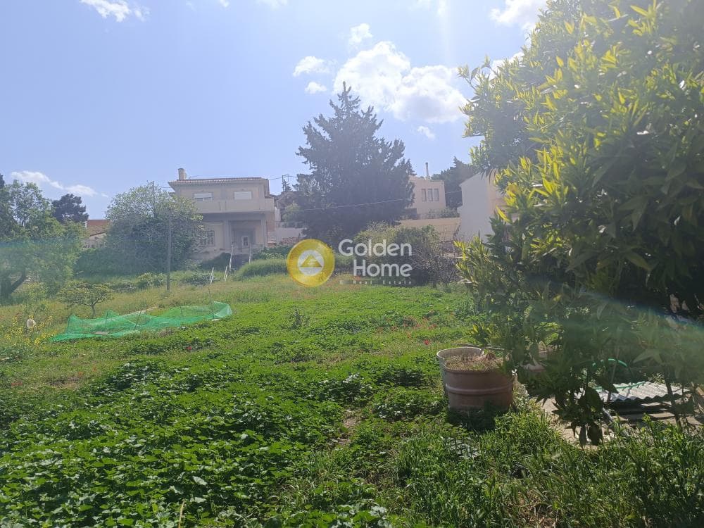 Οικόπεδο στην Αγία Τριάδα, Παιανία — Φωτογραφία 5 από 5