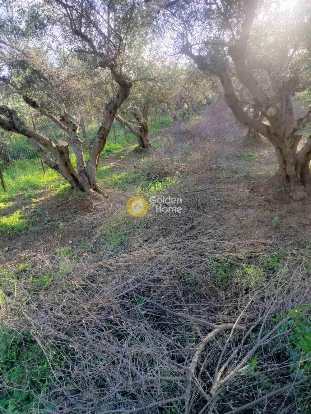 Building Plot in Profitis Ilias, Archanes — Photo 1 of 7