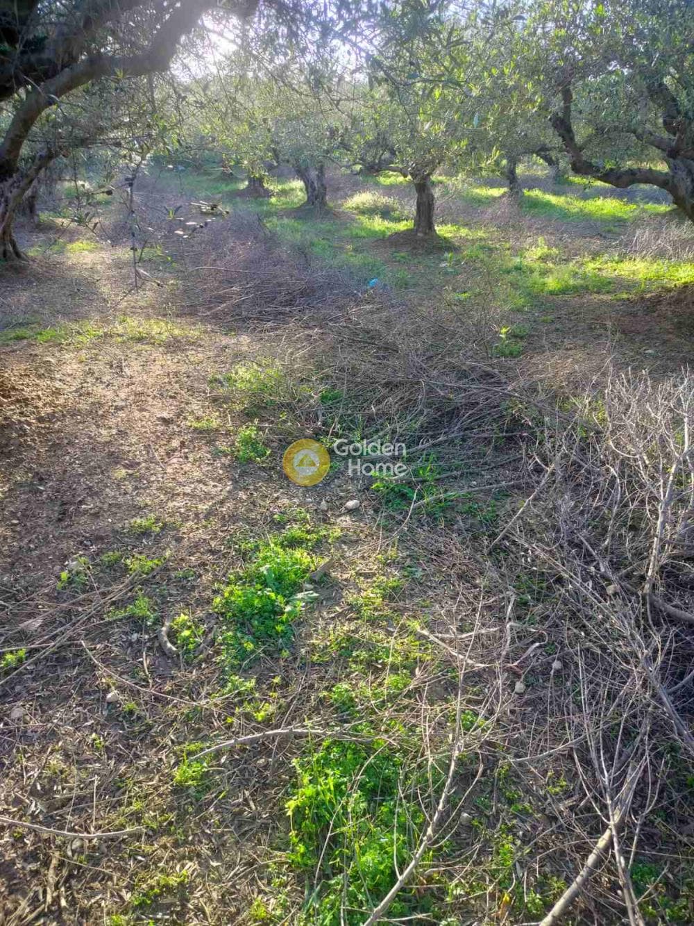 Building Plot in Profitis Ilias, Archanes — Photo 2 of 7
