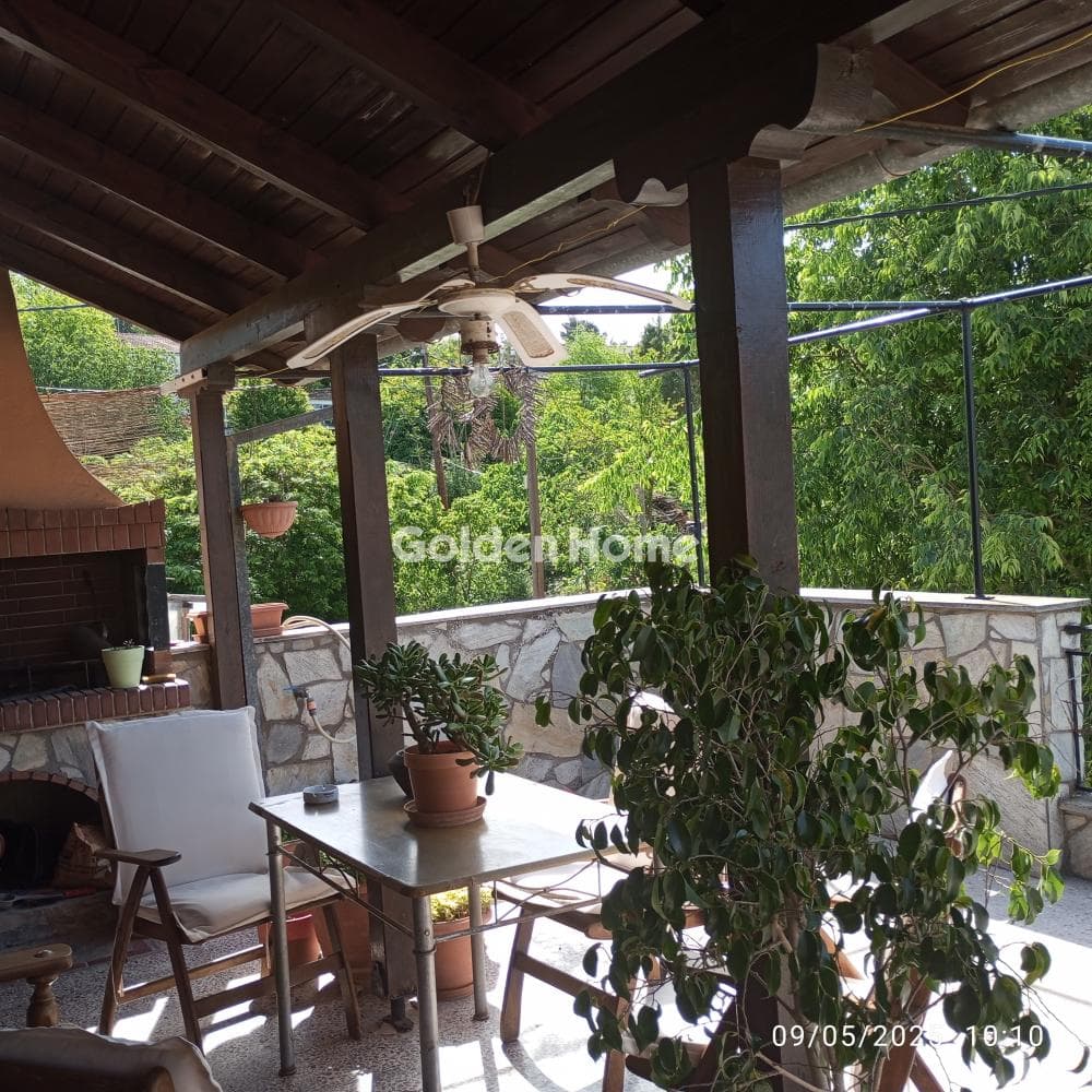House in Trilofo, Mikra — Photo 2 of 13