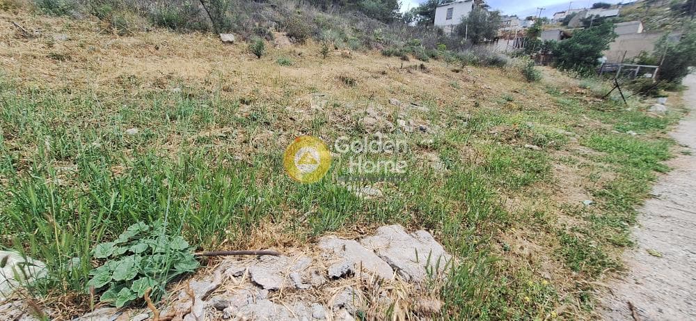 Parcel in Chomateri, Koridallos — Photo 2 of 5