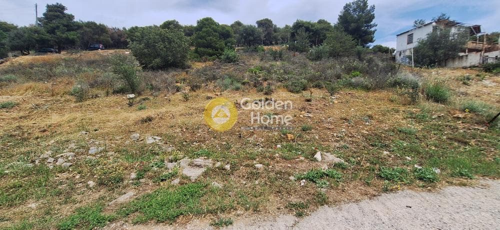 Parcel in Chomateri, Koridallos — Photo 4 of 5