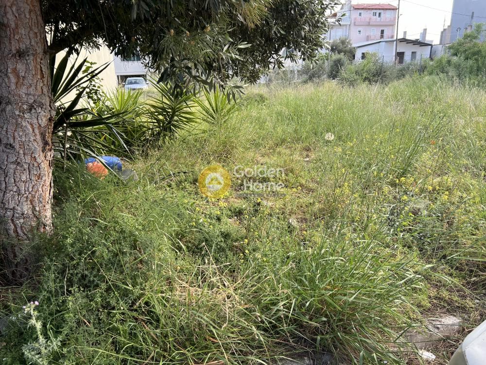 Building Plot in Megala Sxoinia A, Acharnes — Photo 1 of 4
