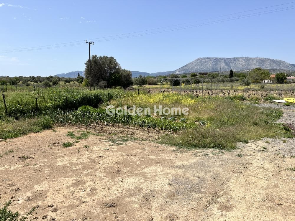 Building Plot in Neapoli, Spata — Photo 1 of 2