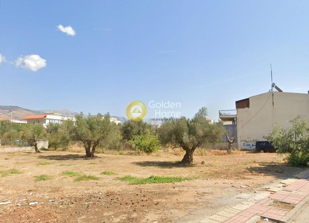 Building Plot in Agios Nikolaos, Ano Liosia — Photo 2 of 2