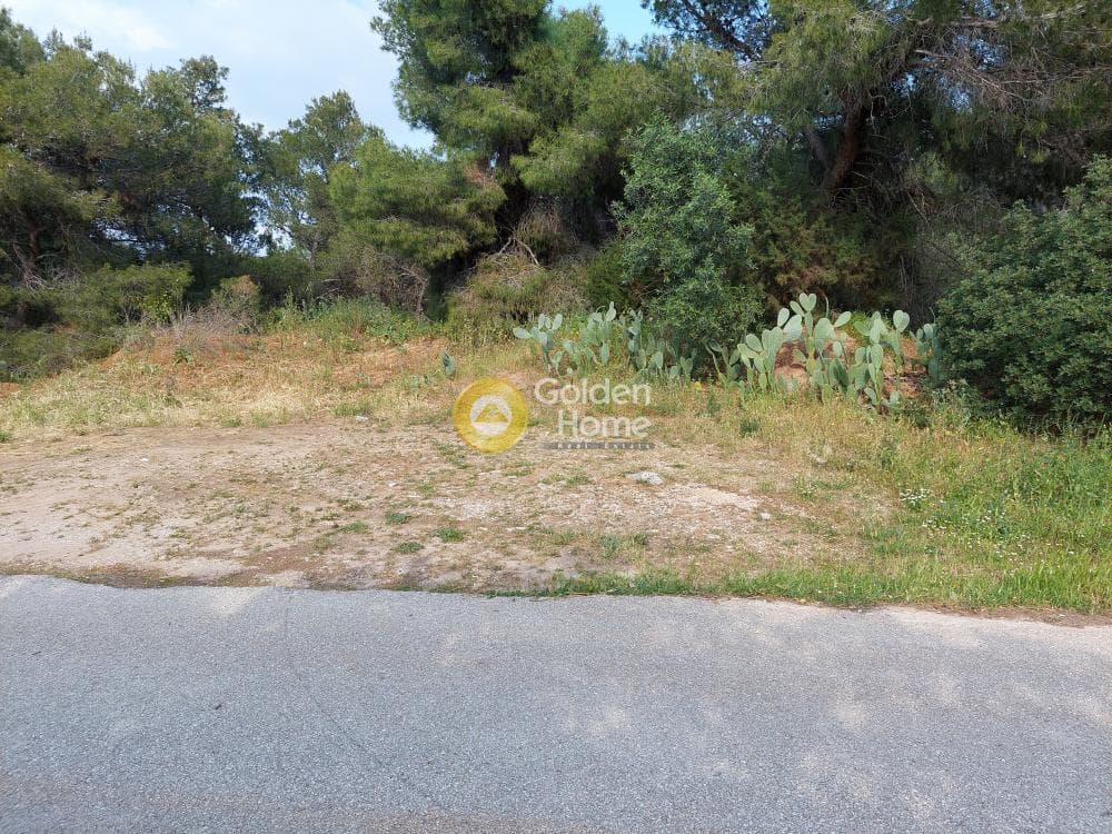 Parcel in Ikismos Aiolos, Rafina — Photo 13 of 13