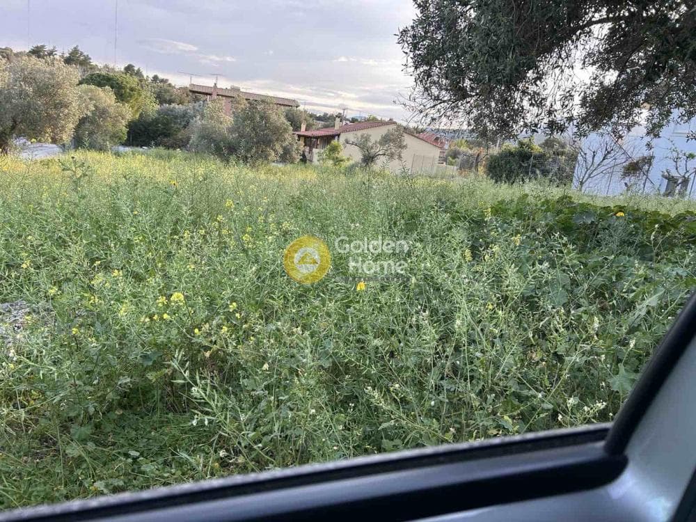 Building Plot in Neapoli, Spata — Photo 3 of 3