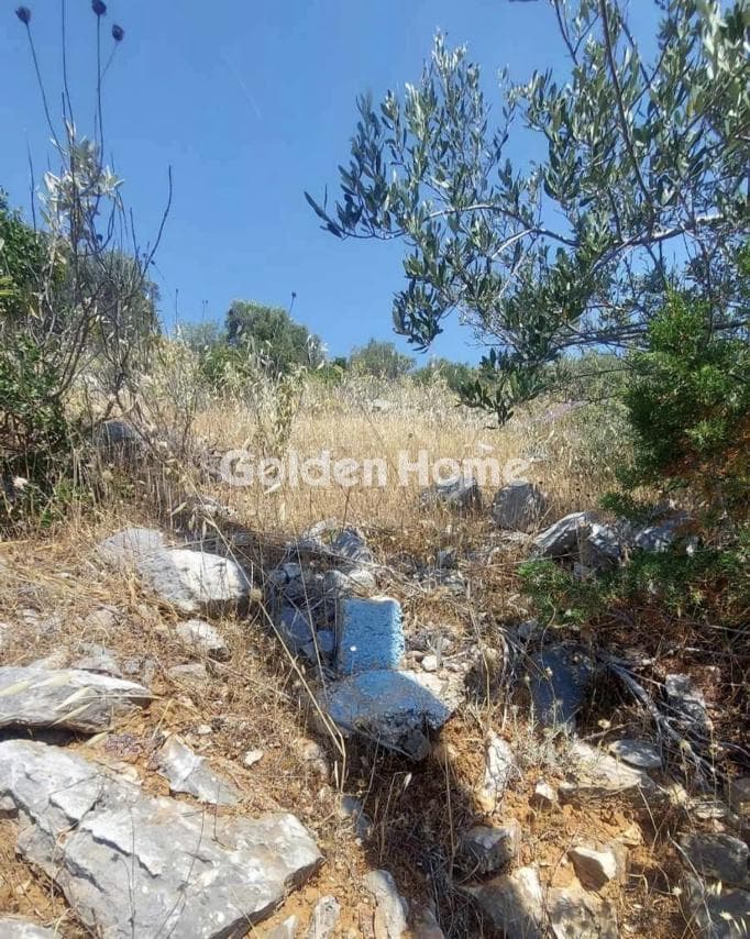 Οικόπεδο στην Άγιος Παντελεήμονας, Νέα Μάκρη — Φωτογραφία 8 από 9