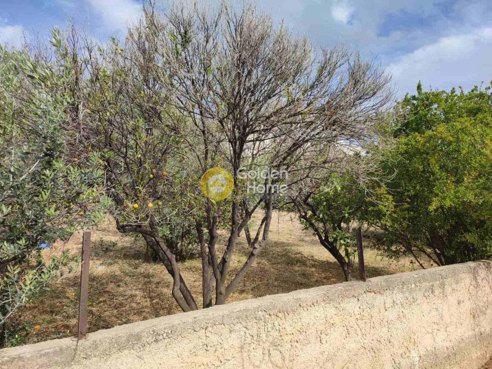 Οικόπεδο στην Αγία Τριάδα, Παιανία — Φωτογραφία 2 από 6