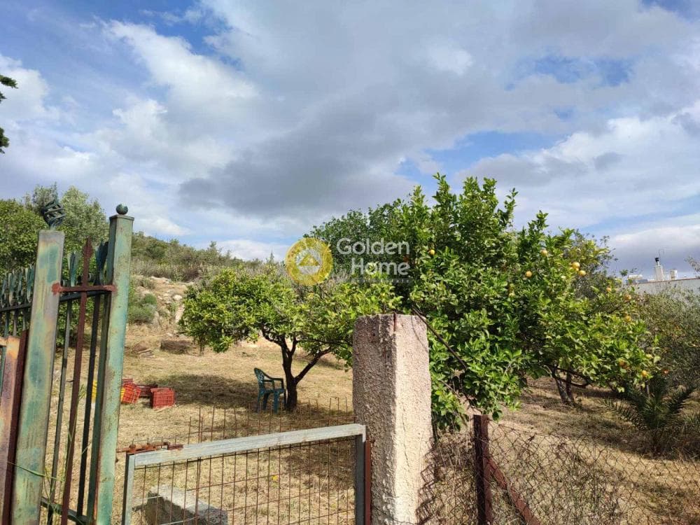 Οικόπεδο στην Αγία Τριάδα, Παιανία — Φωτογραφία 3 από 6