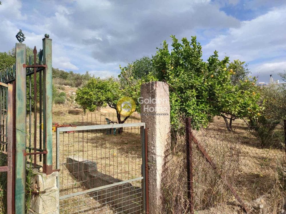 Οικόπεδο στην Αγία Τριάδα, Παιανία — Φωτογραφία 4 από 6
