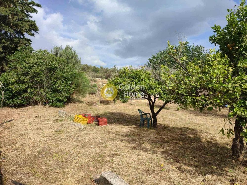 Οικόπεδο στην Αγία Τριάδα, Παιανία — Φωτογραφία 6 από 6