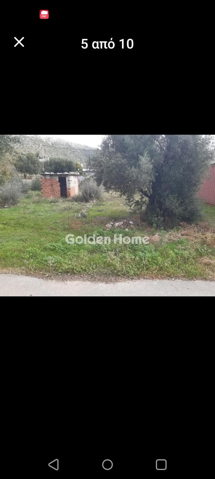 Αγροτεμάχιο στην Τερψιθέα, Γλυφάδα — Φωτογραφία 1 από 2