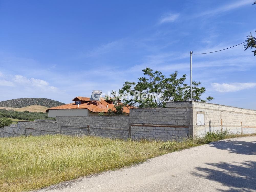 House in Kefleika, Kalivia Thorikou — Photo 12 of 12