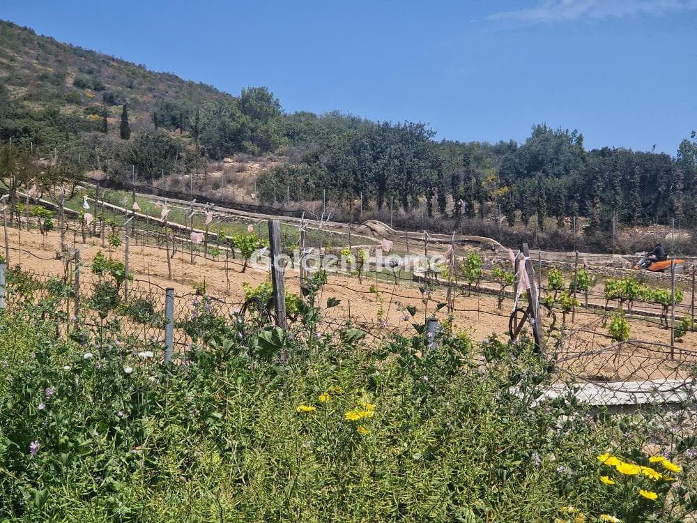 House in Sinterina, Anavissos — Photo 4 of 5