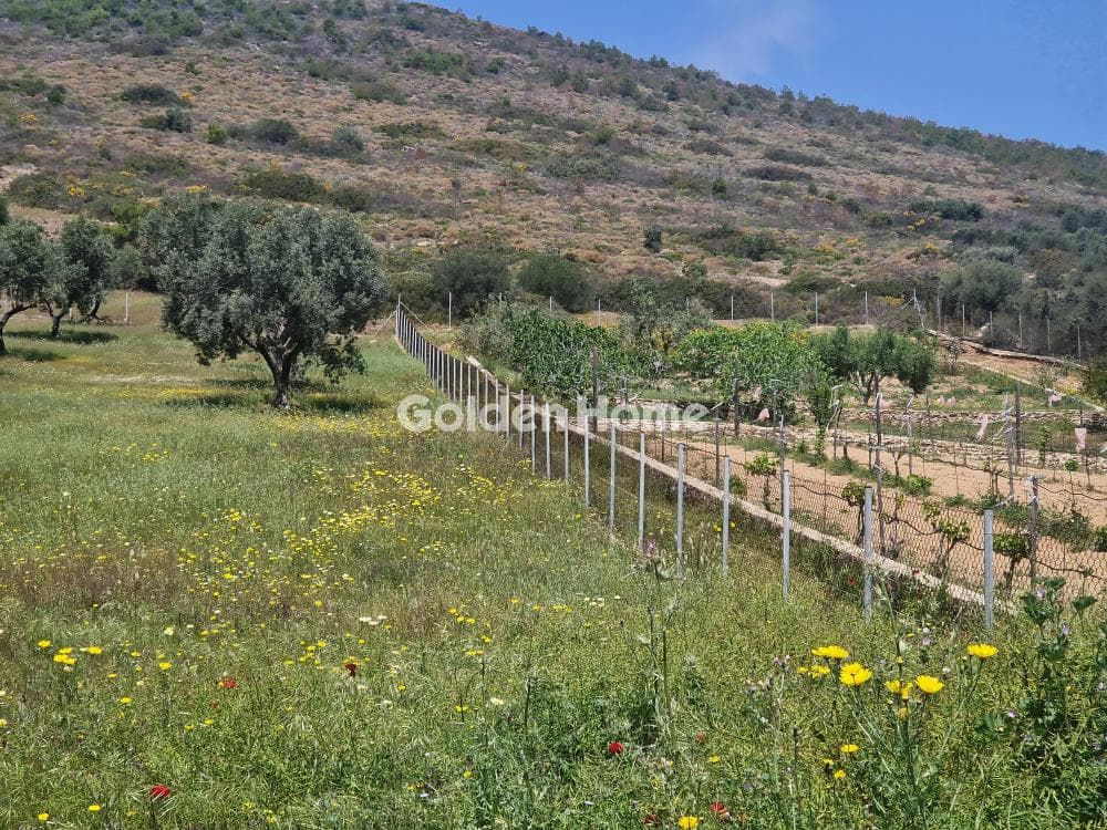 House in Sinterina, Anavissos — Photo 5 of 5