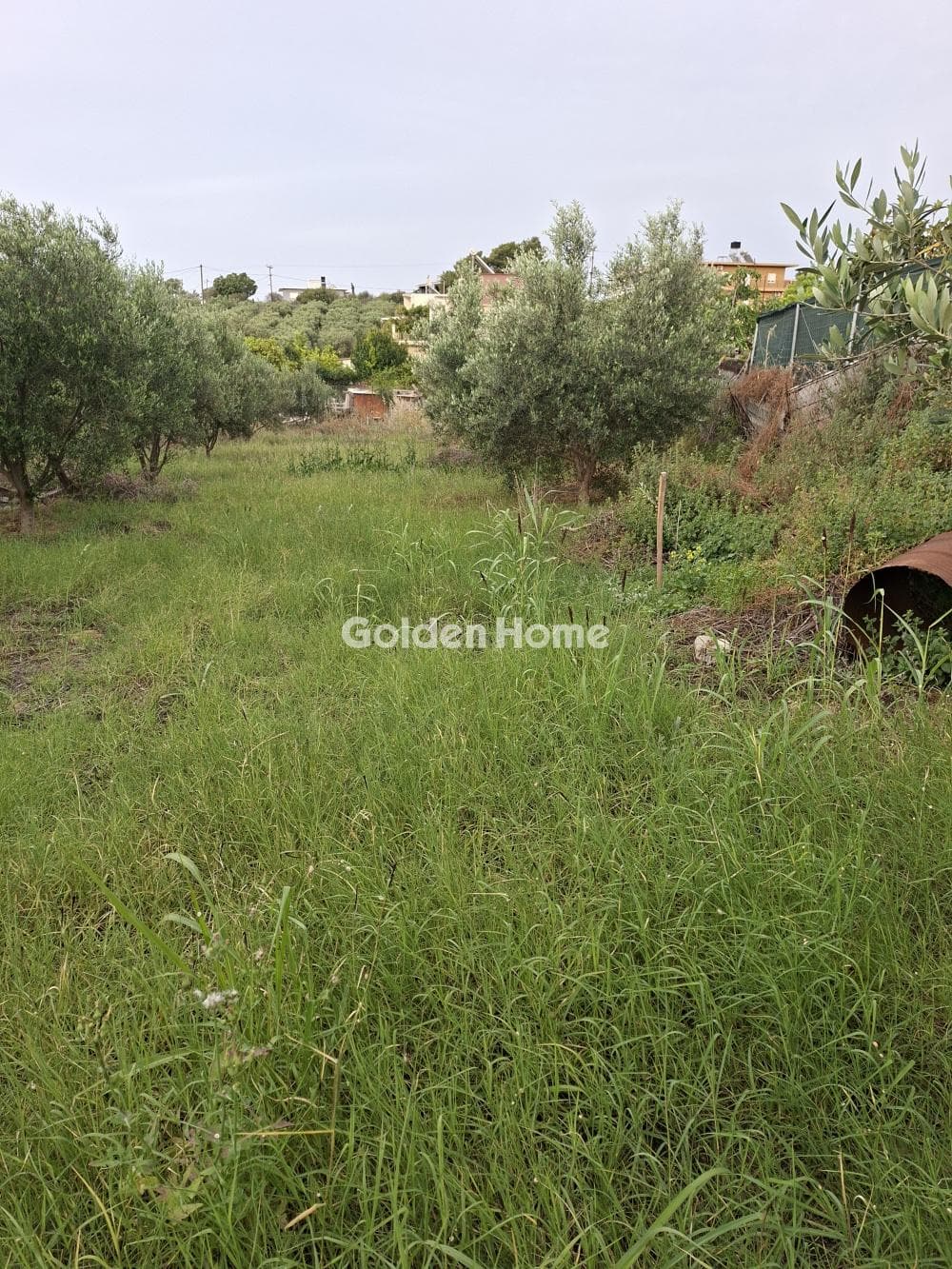 Building Plot in Fodele, Gazi — Photo 3 of 10