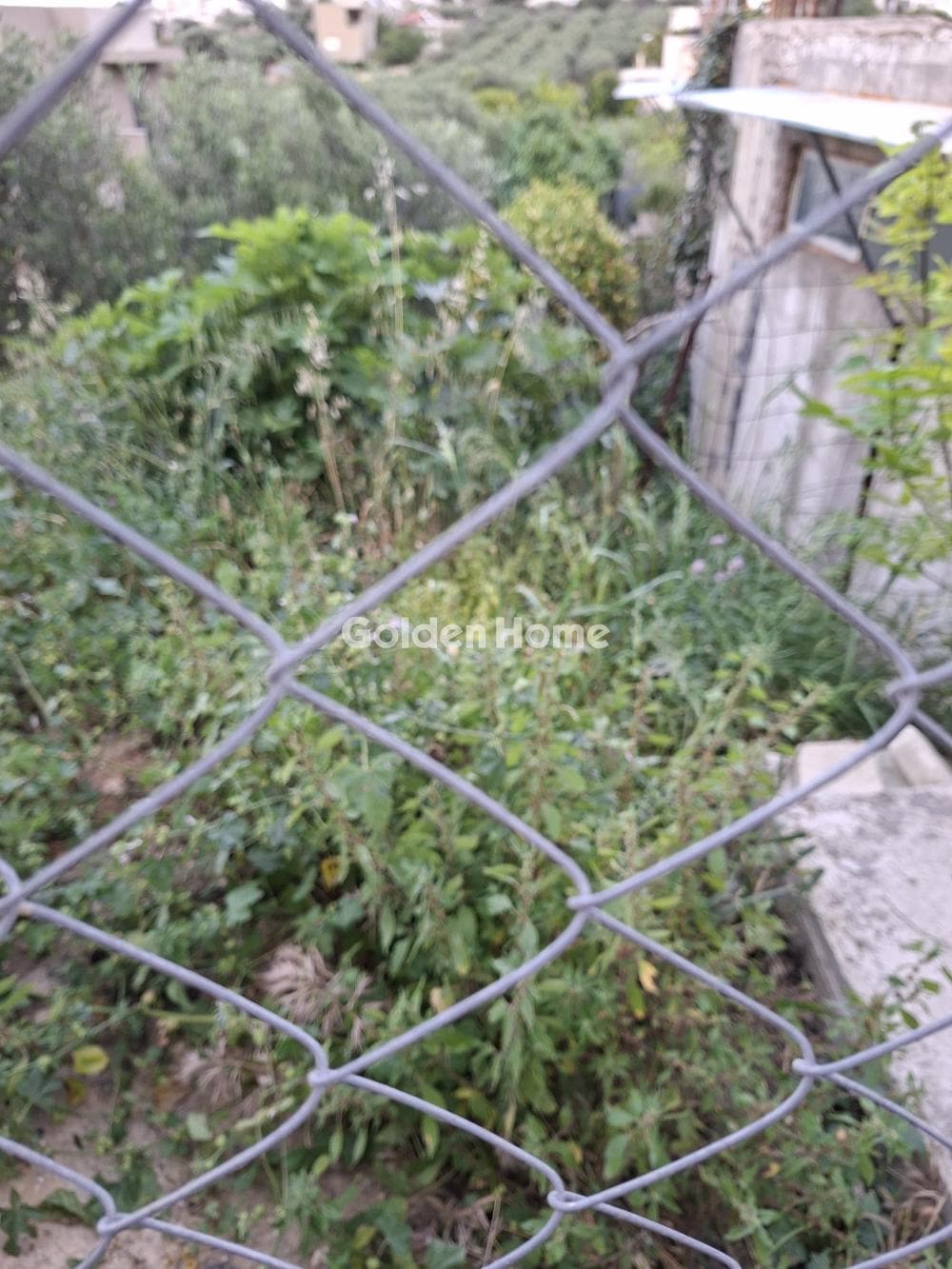 Building Plot in Fodele, Gazi — Photo 7 of 10