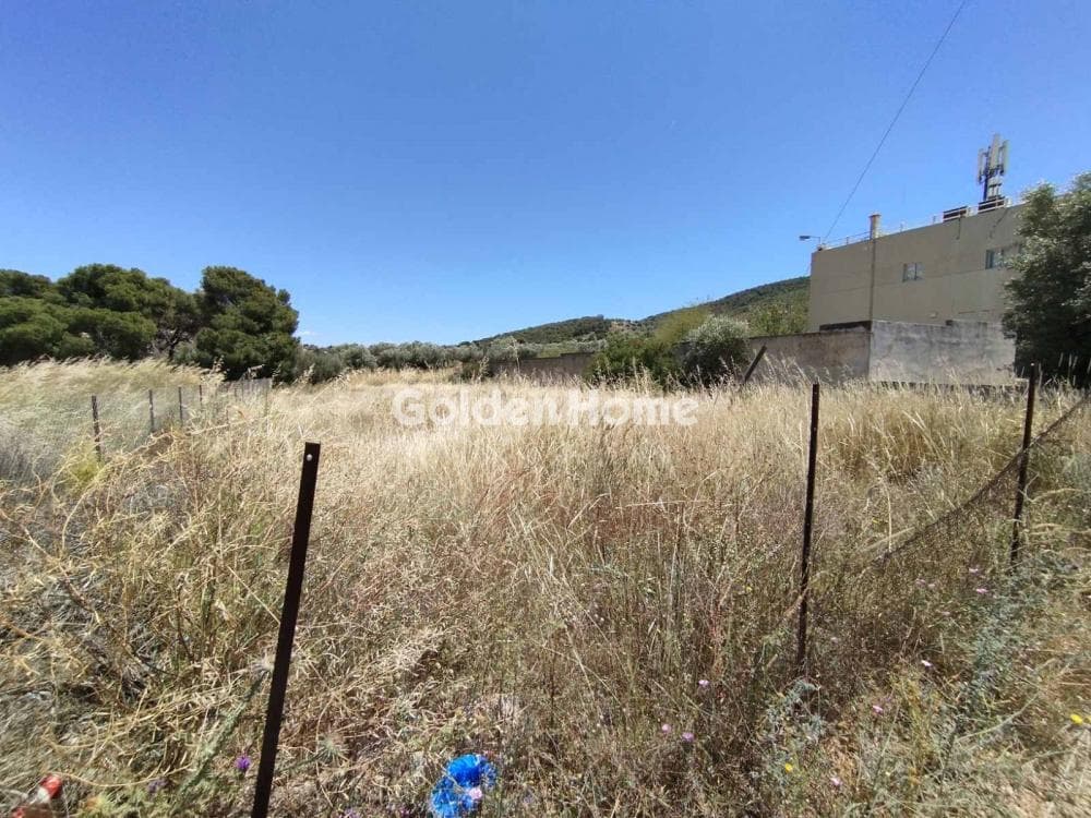 Building Plot in Agia Paraskevi, Salamina — Photo 1 of 4