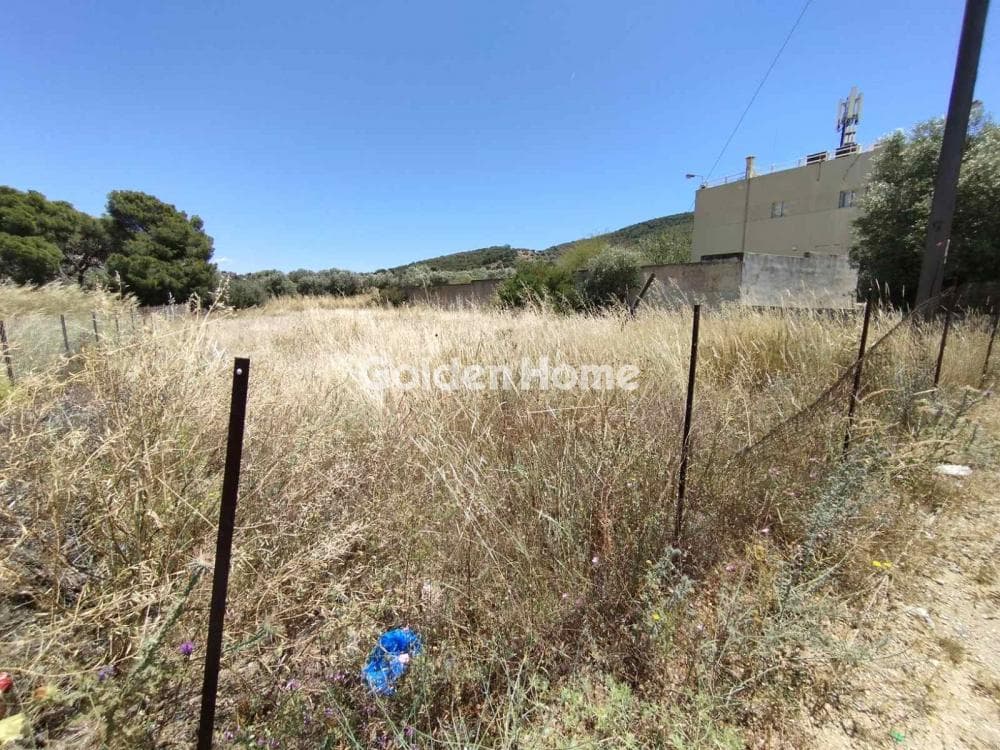 Building Plot in Agia Paraskevi, Salamina — Photo 2 of 4