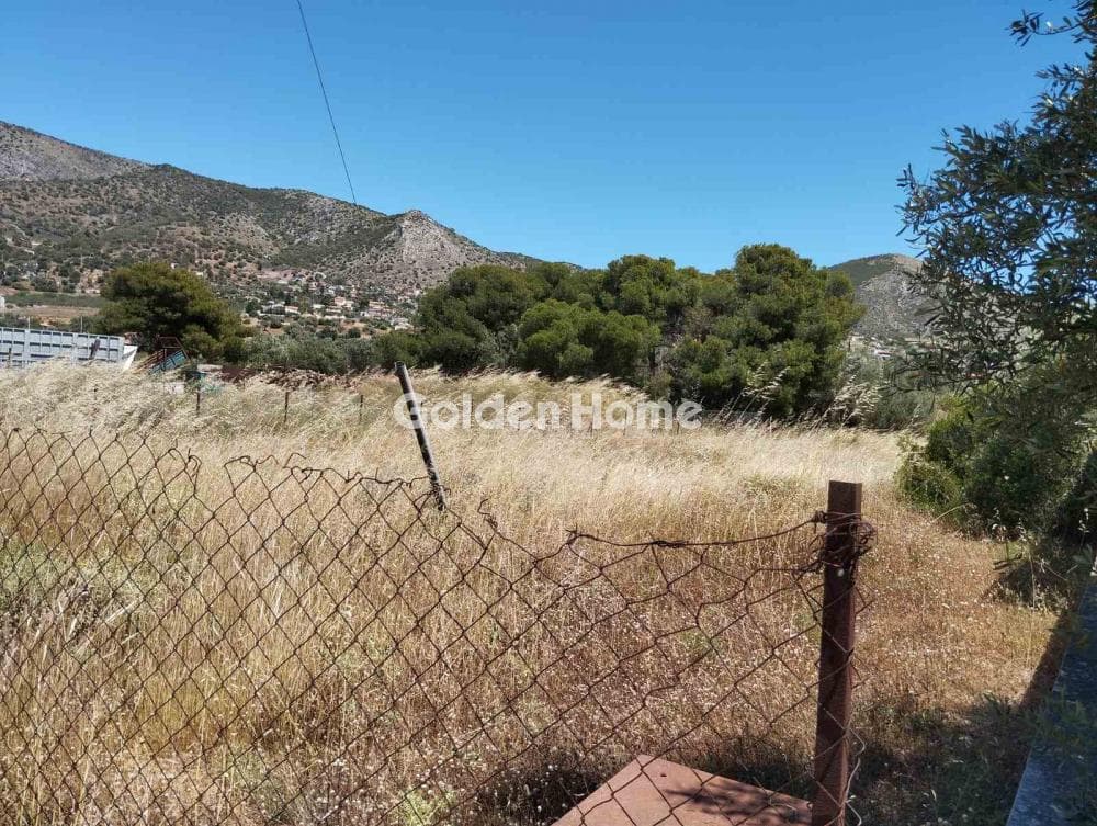 Building Plot in Agia Paraskevi, Salamina — Photo 3 of 4