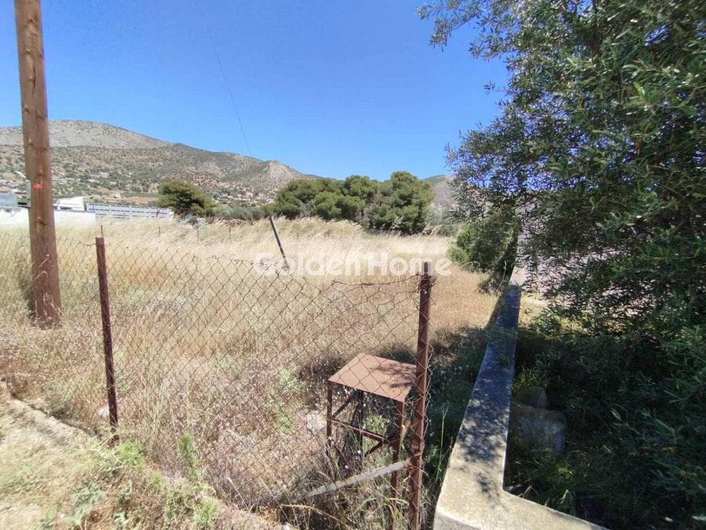 Building Plot in Agia Paraskevi, Salamina — Photo 4 of 4
