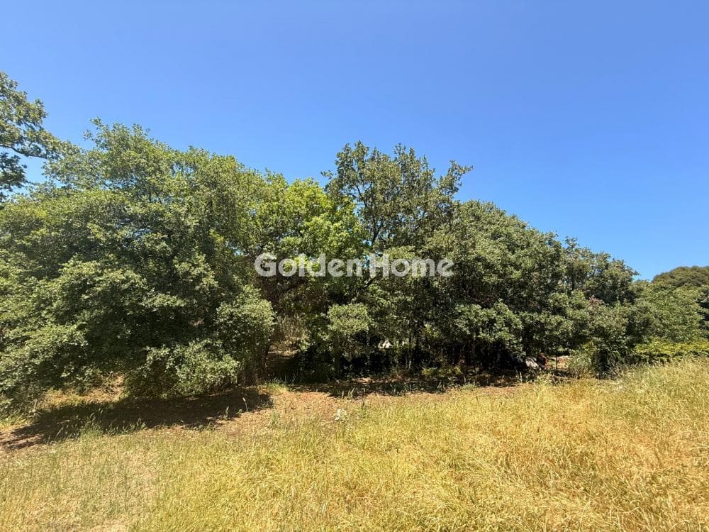 Building Plot in Epano Archanes, Archanes — Photo 3 of 7