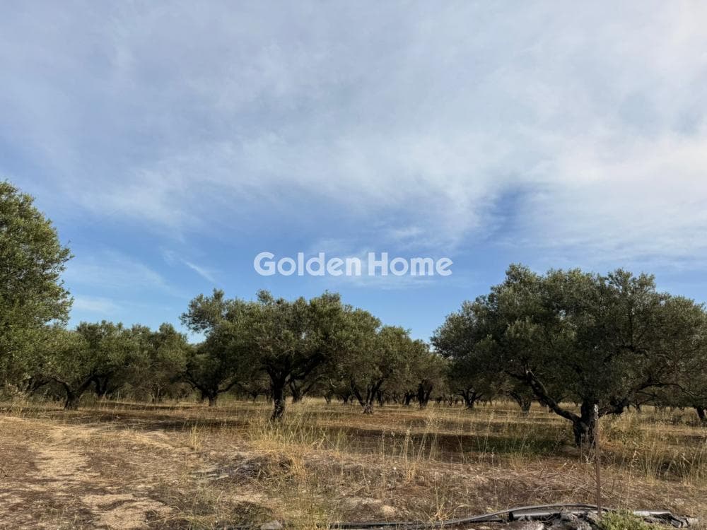 Building Plot in Epano Archanes, Archanes — Photo 4 of 7