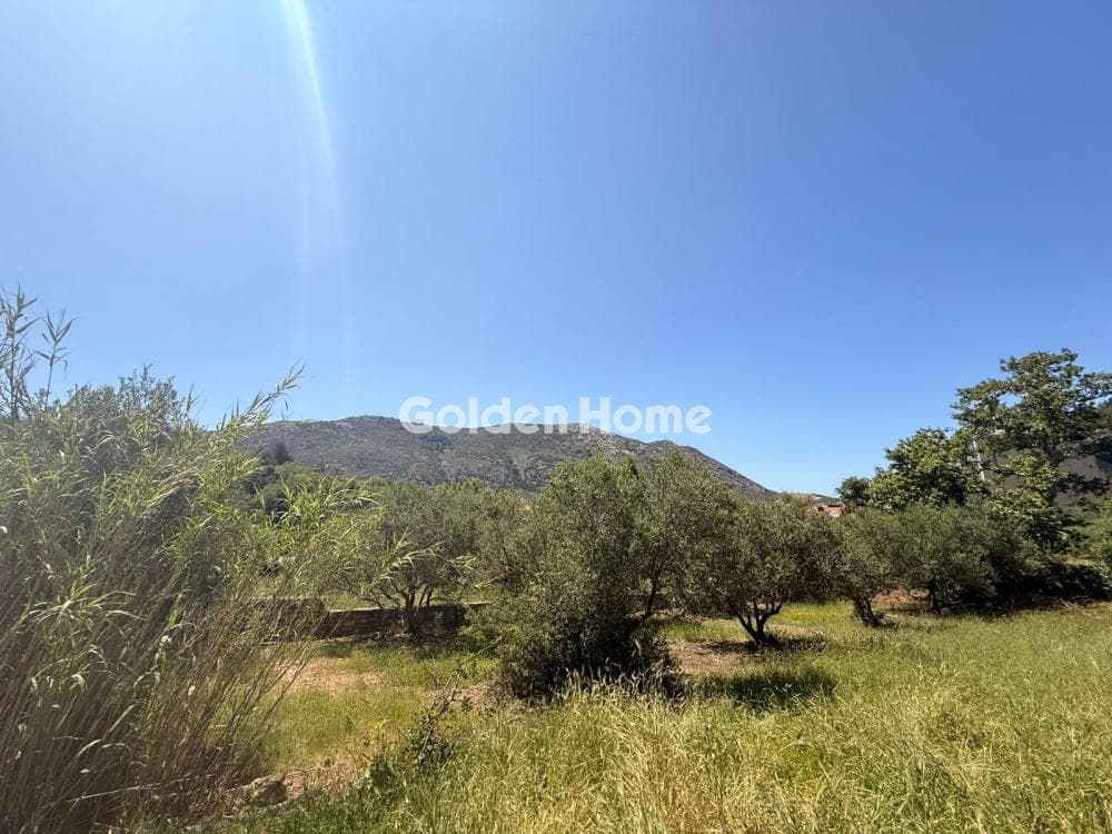 Building Plot in Epano Archanes, Archanes — Photo 6 of 7