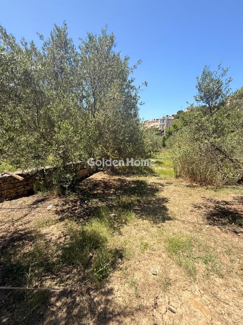 Building Plot in Epano Archanes, Archanes — Photo 7 of 7