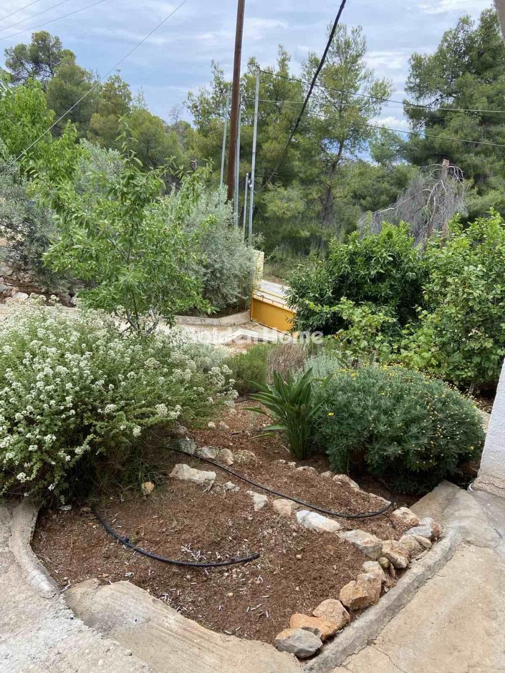House in Pefkali, Soligeia — Photo 66 of 76