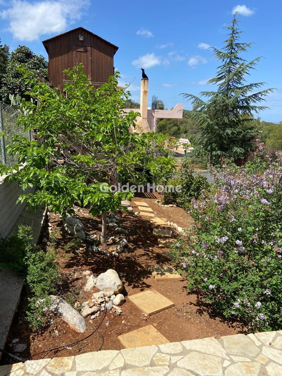 House in Pefkali, Soligeia — Photo 39 of 76
