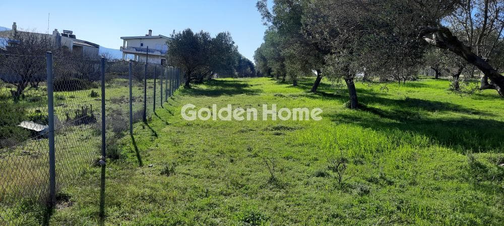 Οικόπεδο στην Αλυκές - Λάκκα, Ανάβυσσος — Φωτογραφία 2 από 3