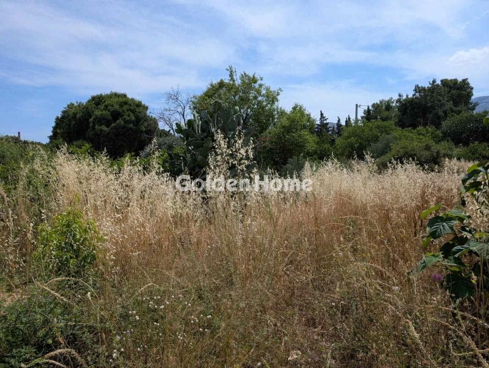 Οικόπεδο στην Άγιος Ανδρέας, Νέα Μάκρη — Φωτογραφία 8 από 9