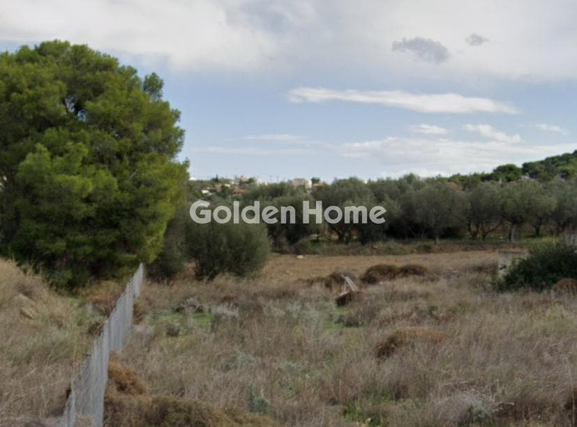 Parcel in Agia Paraskevi, Salamina