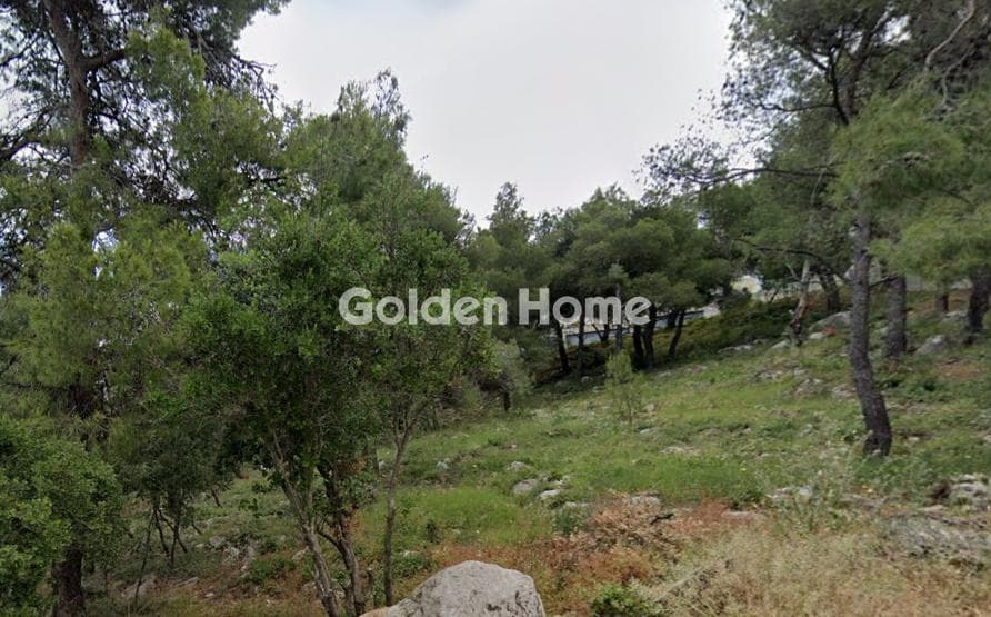 Οικόπεδο στην Αναγέννηση, Δροσιά