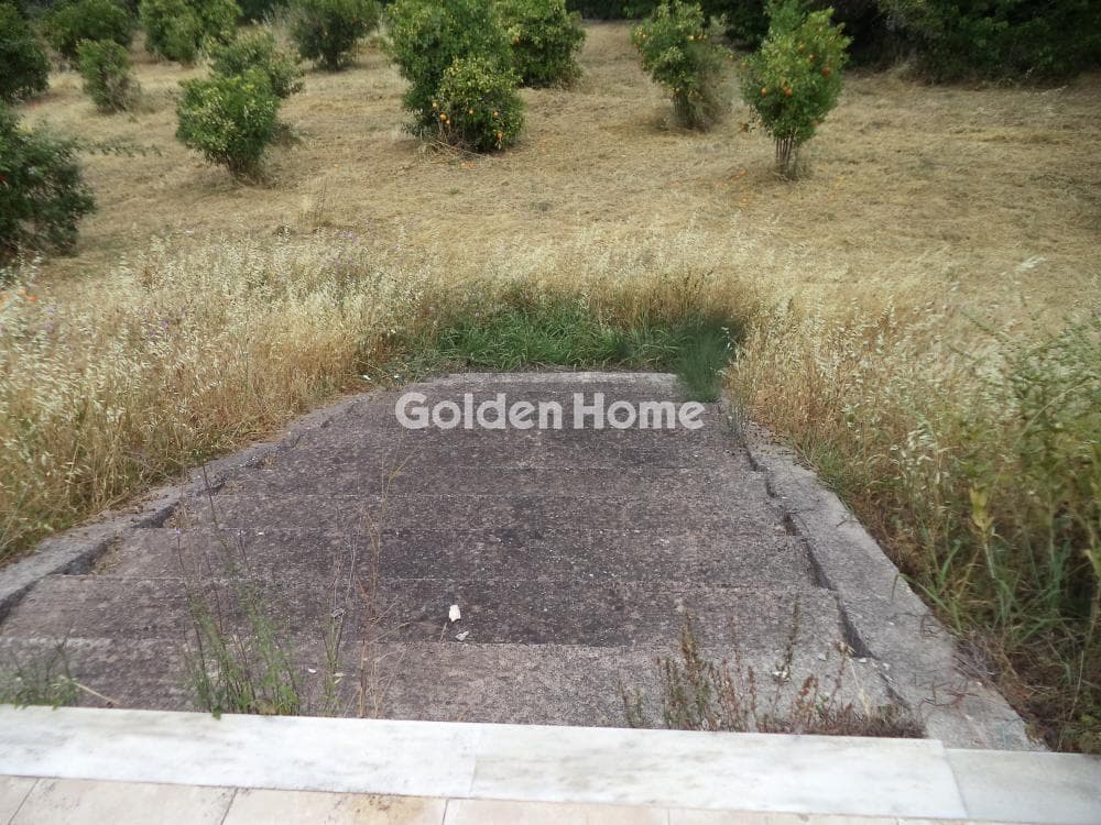 Μονοκατοικία στην Διγελιώτικα, Αίγιο — Φωτογραφία 11 από 25