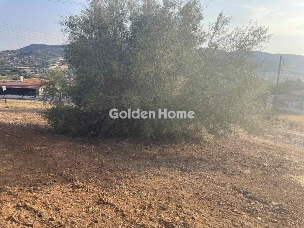 Building Plot in Agios Athanasios, Salamina