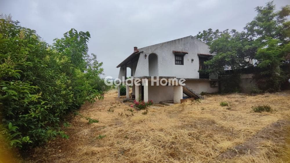 House in Kapandriti, Com. Kapandriti — Photo 3 of 16