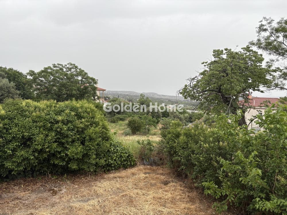 House in Kapandriti, Com. Kapandriti — Photo 15 of 16