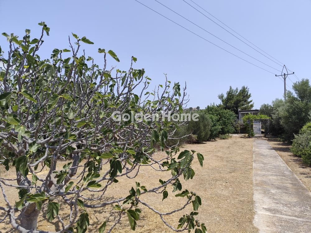 Building Plot in Kalivia, Kalivia Thorikou — Photo 2 of 5